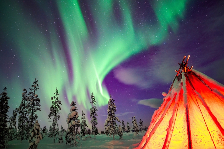 Rovaniemi: Northern Lights Wilderness Tour with Camera