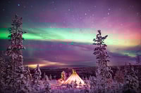 Rovaniemi, Northern Lights Wilderness Tour met camera - Housity