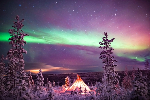 Rovaniemi: Nordlichter-Tour in der Wildnis mit Kamera