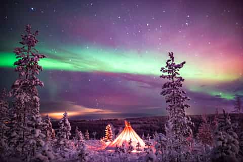 Rovaniemi: Northern Lights Wilderness Tour with Camera