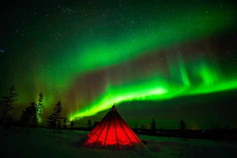 Rovaniemi: Nordlichter-Tour in der Wildnis mit Kamera