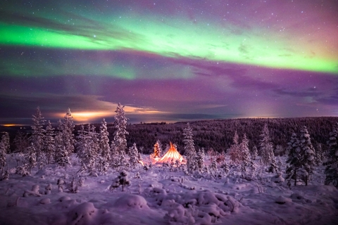 Rovaniemi: Northern Lights Wilderness Tour met camera