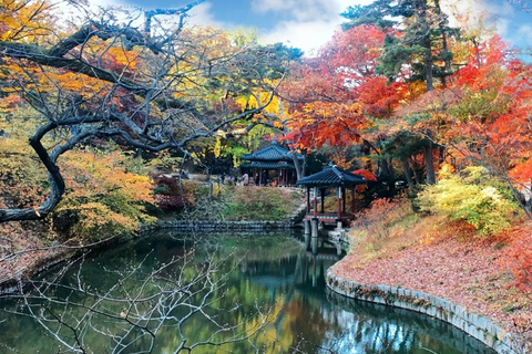 Seúl: Servicio de alquiler de coches privados de medio día/todo el díaCoche privado día completo de Gangwon-do