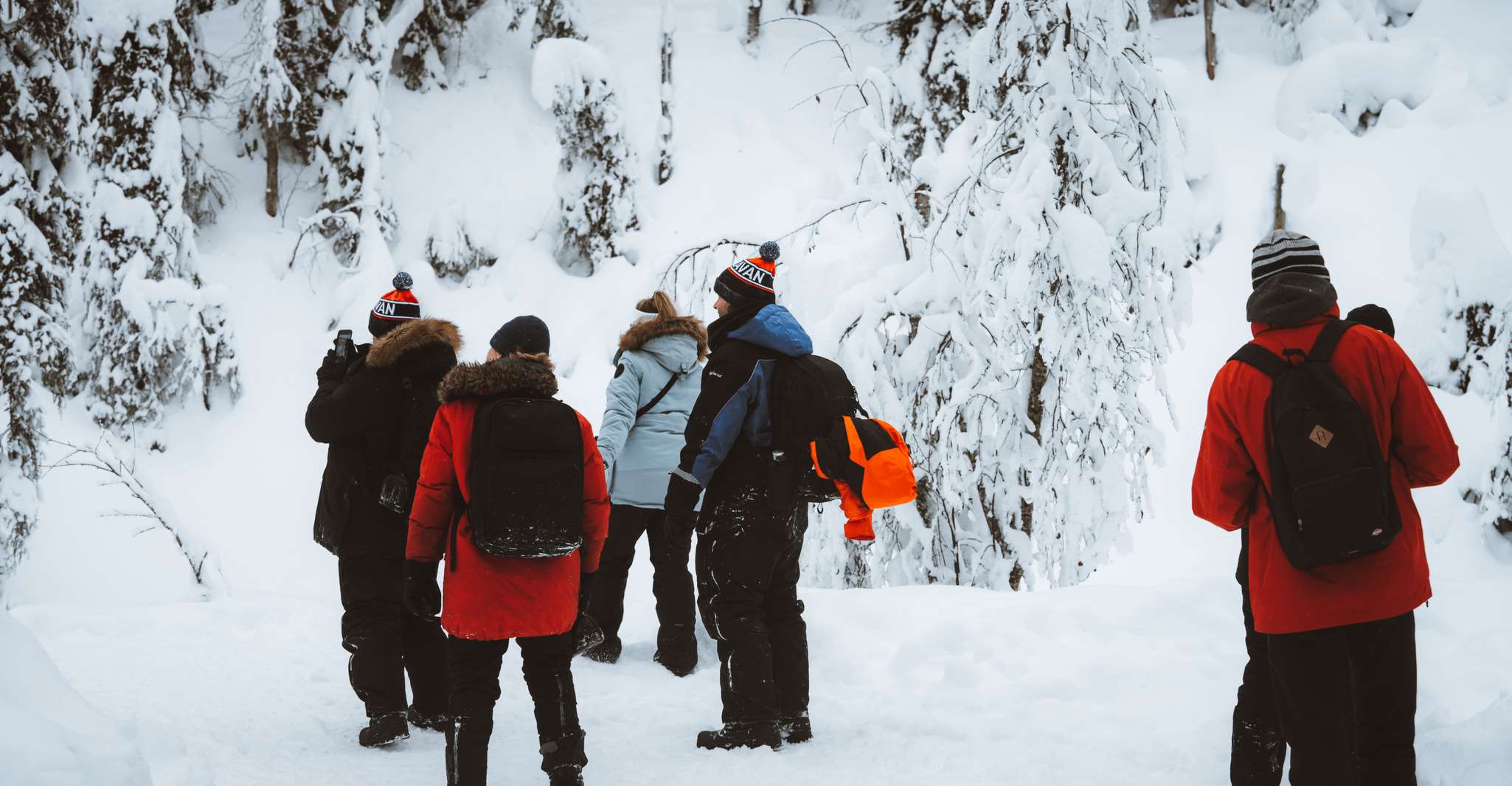 Rovaniemi, Korouoma Canyon & Tour des chutes d'eau gelées - Hizvo