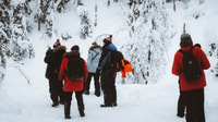 Rovaniemi, Koroouoma Canyon & Frozen Waterfalls Tour - Hizvo