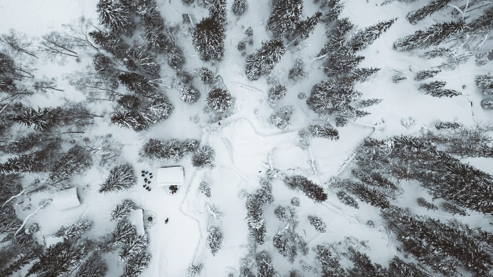Rovaniemi, Korouoma Canyon & Tour des chutes d'eau gelées - Hizvo