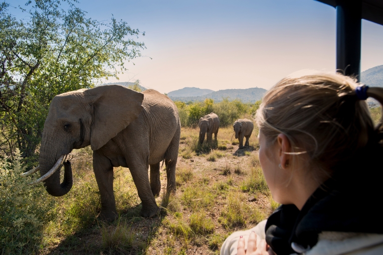 Pilanesberg: Two-Day Camping Adventure from Johannesburg