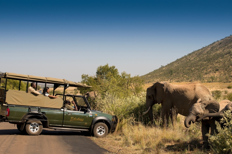 Ab Johannesburg: 2-Tages-Safari im Pilanesberg-Nationalpark