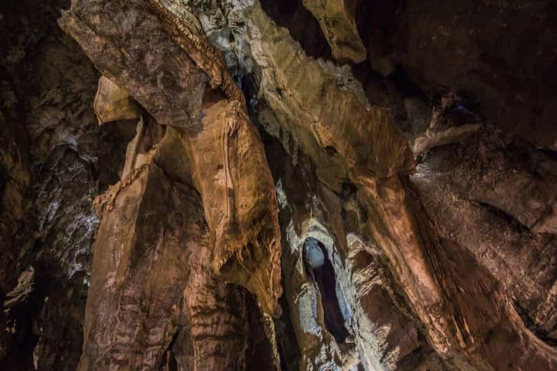 Tour Di Mezza Giornata Della Culla Dellumanità E Delle Grotte Di Sterkfontein Getyourguide 