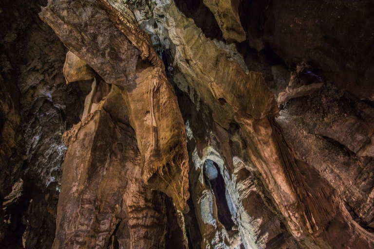 Excursión de medio día a la Cuna de la Humanidad y las Cuevas de Sterkfontein