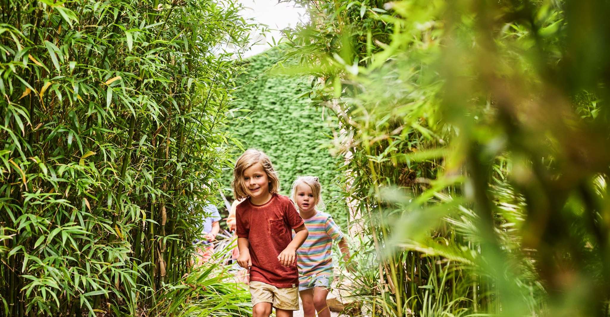 Péninsule de Mornington, admission générale de l'aventure enchantée - Housity
