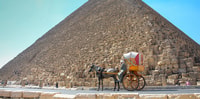 Cairo/Giza, Guided Pyramids, Sphinx and Egyptian Museum Tour - Housity