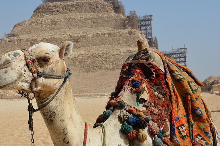 Gizé/Cairo: Visita guiada a Sakkara, Memphis e DahshurTour particular VIP com ingressos e almoço