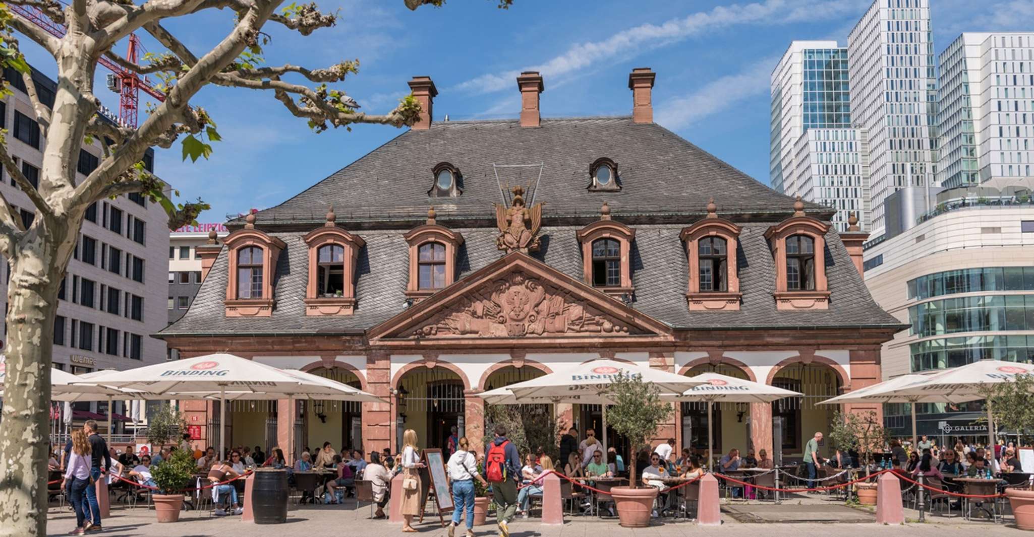 Tarjeta Frankfurt, experiencia Frankfurt al mejor precio - Hizvo