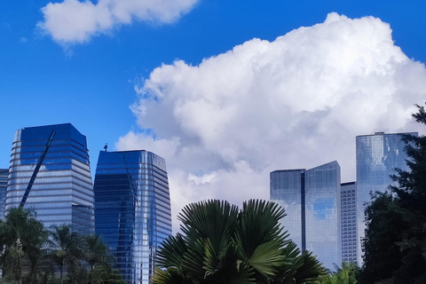 São Paulo: Modern Architecture and Luxury Walking Tour