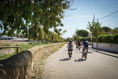 Depuis Barcelone : Excursion à la voile et à vélo électrique dans un vignoble avec dégustationsVoiture vers un vignoble avec navigation vers Barcelone