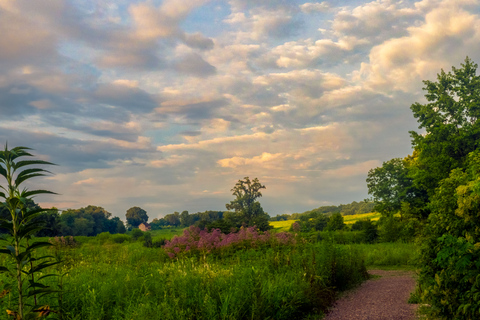 Longwood Gardens from Philadelphia Springtime Pop Up Tour