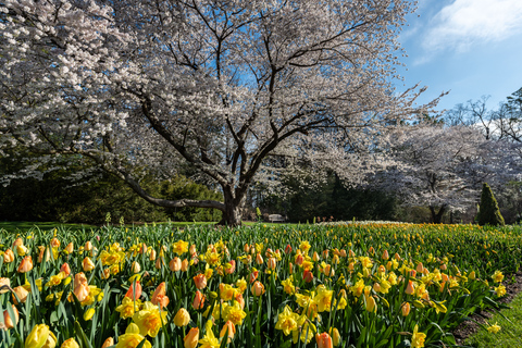 Longwood Gardens from Philadelphia Springtime Pop Up Tour