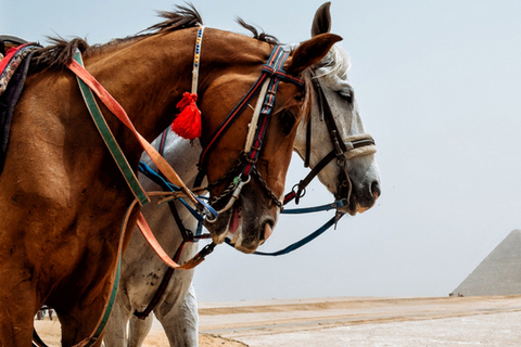 Giza: Tour a cavallo arabo intorno alle piramidi di GizaCavalcata vista Piramidi ( Senza ingresso: vista da lontano).