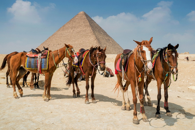 Giza: Arabian Horse Tour Around the Giza Pyramids Horse Ride With Entery Pyramids Plateau