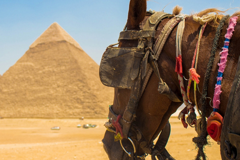 Giza: Tour a cavallo arabo intorno alle piramidi di GizaCavalcata vista Piramidi ( Senza ingresso: vista da lontano).