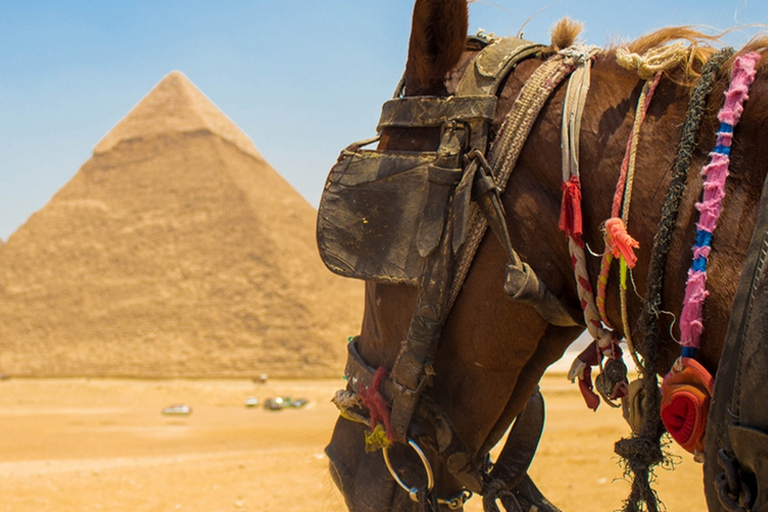 Giza: Tour a cavallo arabo intorno alle piramidi di GizaCavalcata vista Piramidi ( Senza ingresso: vista da lontano).