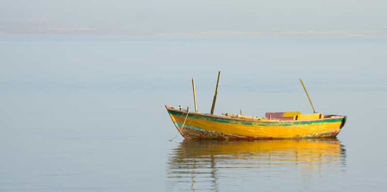 Desde El Cairo: Fayoum Oasis y Wadi Al Rayan Guided Tour