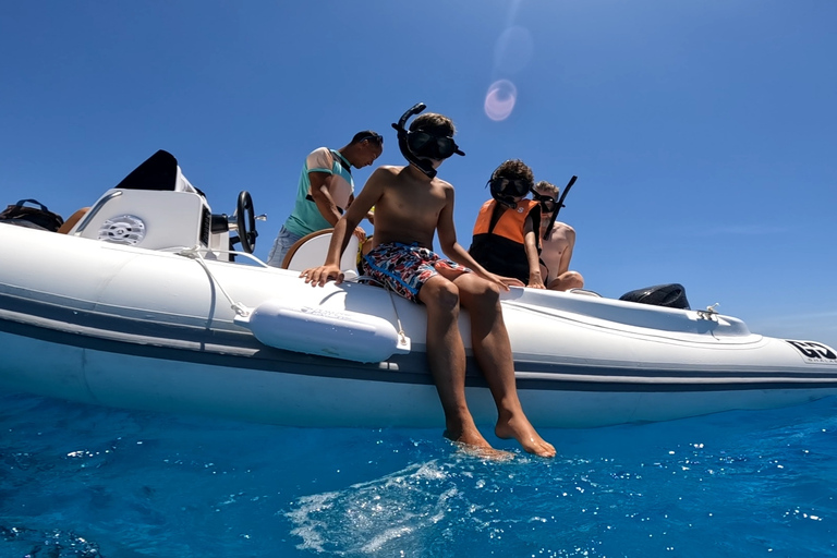 Hurghada: Observação de golfinhos em lancha rápida e mergulho com snorkel com almoçoObservação de golfinhos e mergulho com snorkel em grupo com lancheira