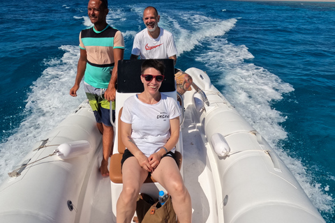 Hurghada: dolfijnen spotten per speedboot en snorkelenPrivétour