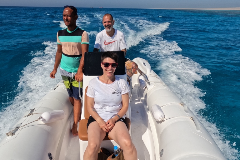 Hurghada: dolfijnen spotten per speedboot en snorkelenGedeelde tour