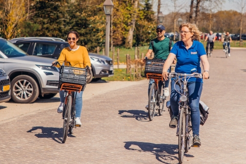 Keukenhof: recorrido cultural en bicicleta para grupos pequeños de Flower Fields