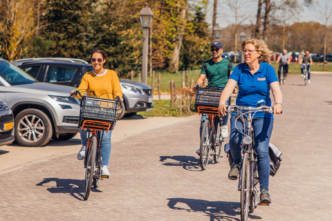 Keukenhof: recorrido cultural en bicicleta para grupos pequeños de Flower Fields