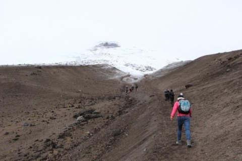 From Quito: 2-Day Cotopaxi and Quilotoa Trip Standard Option