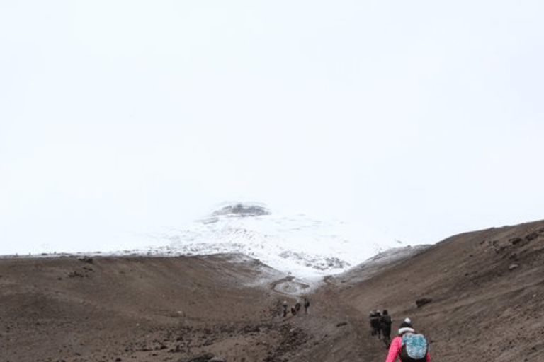 De Quito: 2 jours de voyage Cotopaxi et QuilotoaOption standard