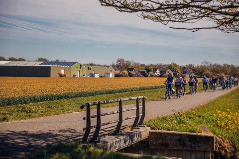 Keukenhof: recorrido cultural en bicicleta para grupos pequeños de Flower Fields