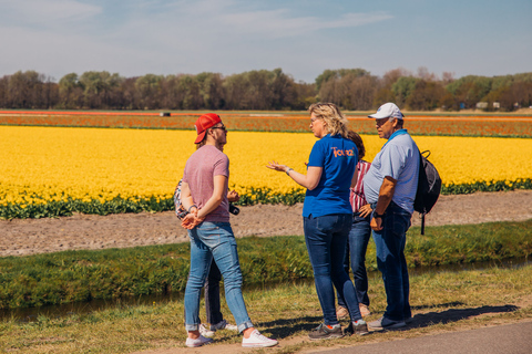 Keukenhof: recorrido cultural en bicicleta para grupos pequeños de Flower Fields