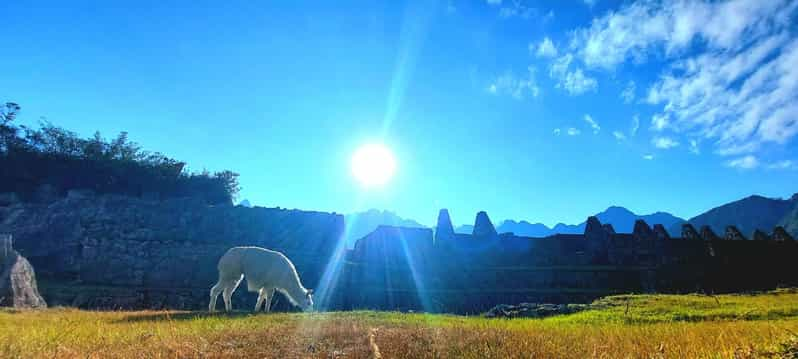 Von Cusco Aus Machu Picchu Tour Mit Wanderticket Getyourguide