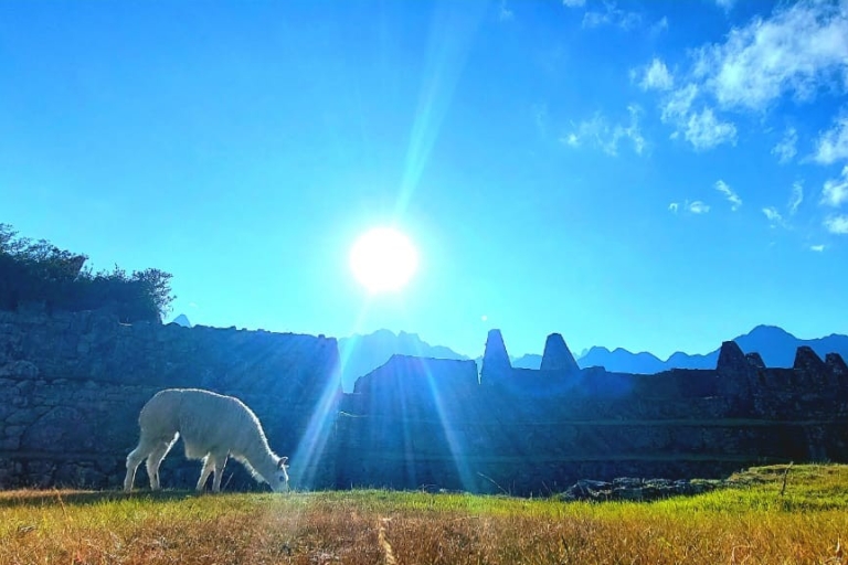 De Cusco: visite du Machu Picchu et billetterieDe Cusco: visite du Machu Picchu et ascension de la montagne avec transfert