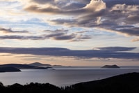 Albany, Geschiedenis en hoogtepunten Tour - Housity