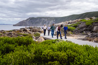 The Gap & Natural Wonders Tour - Housity