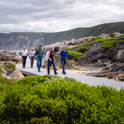 The Gap & Natural Wonders Tour