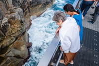 The Gap & Natural Wonders Tour - Housity