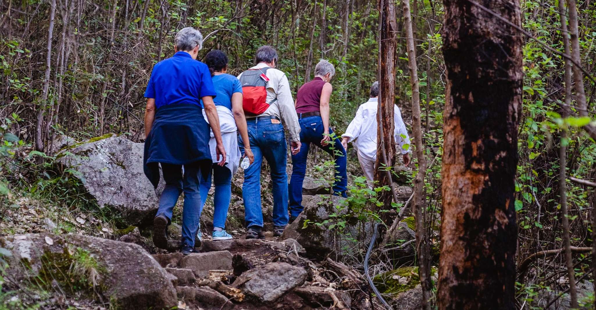 Albany, Guided Granite Skywalk in Porongurup National Park - Housity