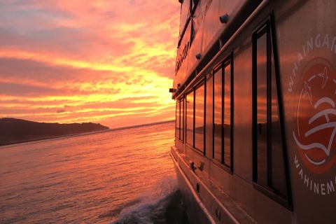Raglan: Scenic Harbour Sunset Cruise