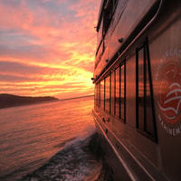 Raglan, croisière Sunset Harbour Scenic - Hizvo