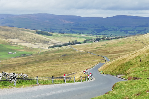 Yorkshire: Excursão de mini-ônibus para todas as criaturas grandes e pequenas