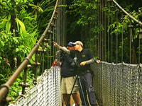 Monteverde o Santa Elena, Puentes de Suspensión Tour Privado - Hizvo