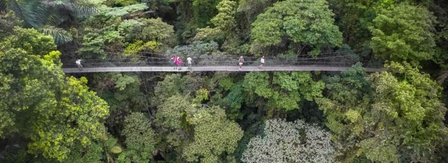 Monteverde ou Santa Elena : Visite privée des ponts suspendus