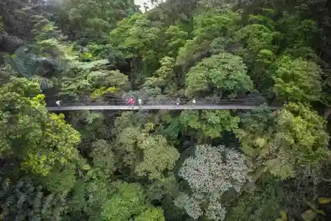 Monteverde eller Santa Elena: privat tur med hängbroar