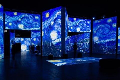 Cologne: Van Gogh Alive Exhibit Entry Ticket